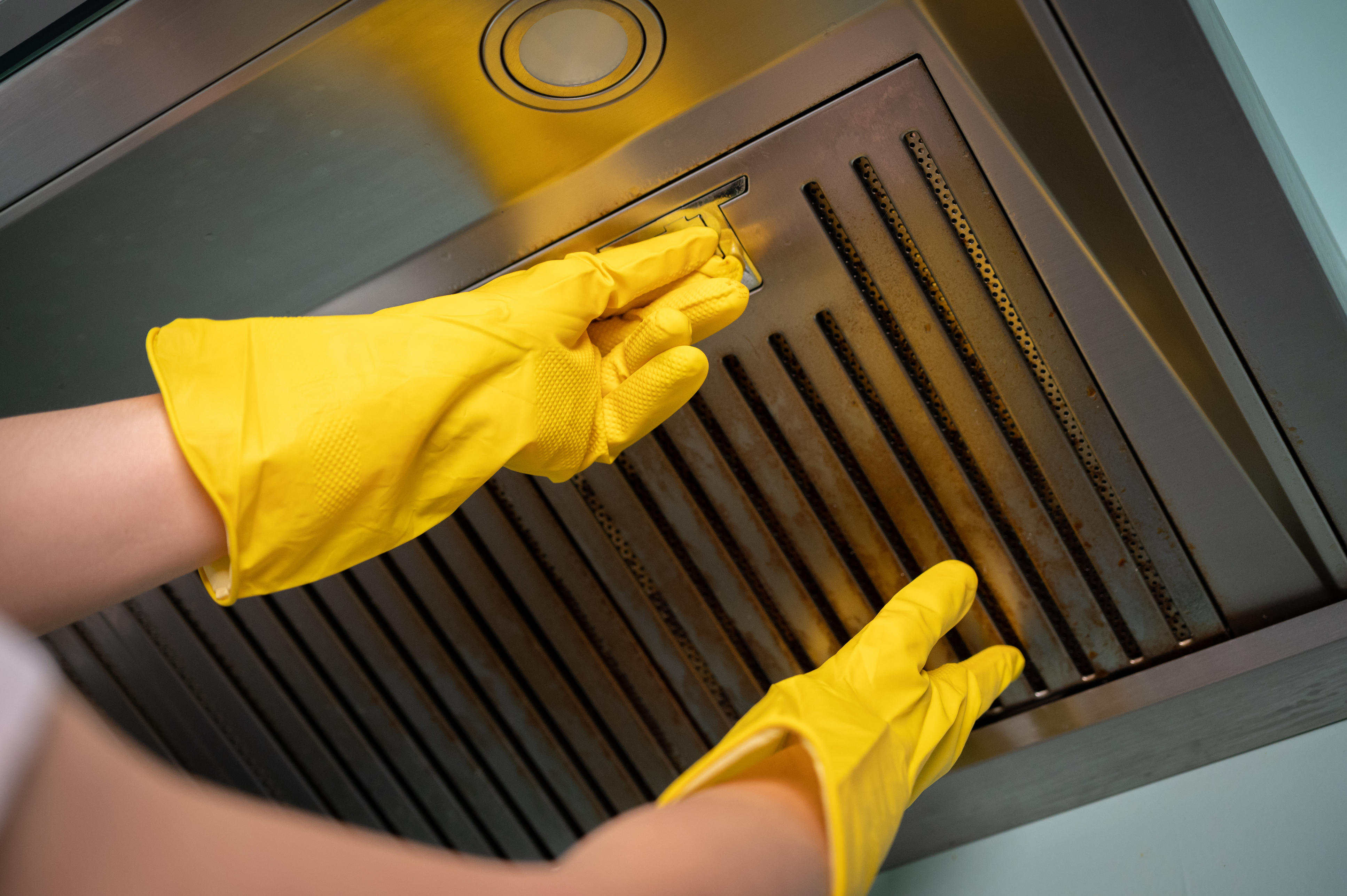 Bacteria Hotspots in the Kitchen